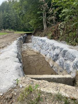 Photo 17. 7. 24, 07 49 03